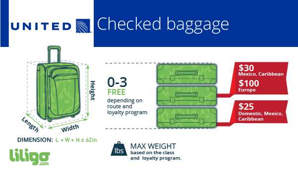 Additional Baggage Fees