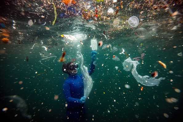 Which companies dump the most plastic?