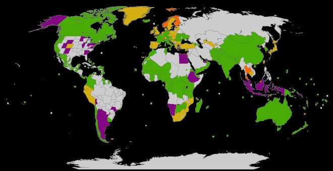 Impact on Plastic Waste Reduction