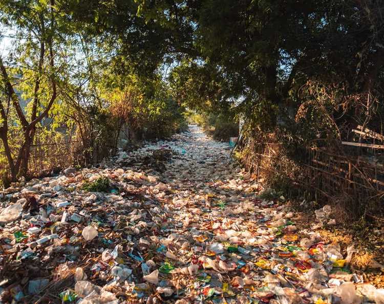 India: Mounting Litter Problem amidst Rapid Urbanization