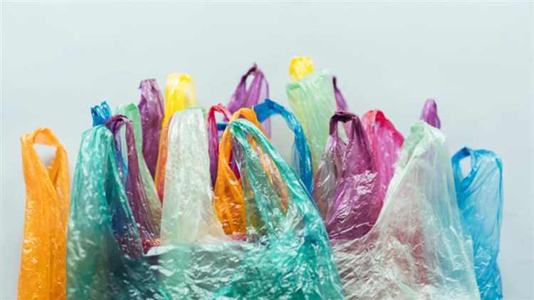 Which Country Has Banned Single-Use Plastic Bags?