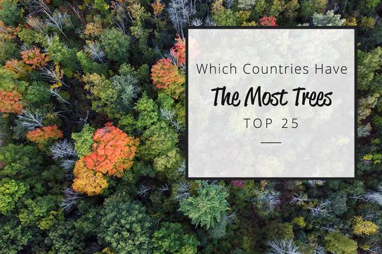 Which country has most trees?