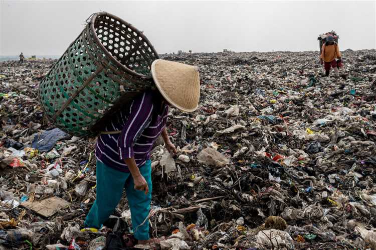 Innovative Composting Techniques