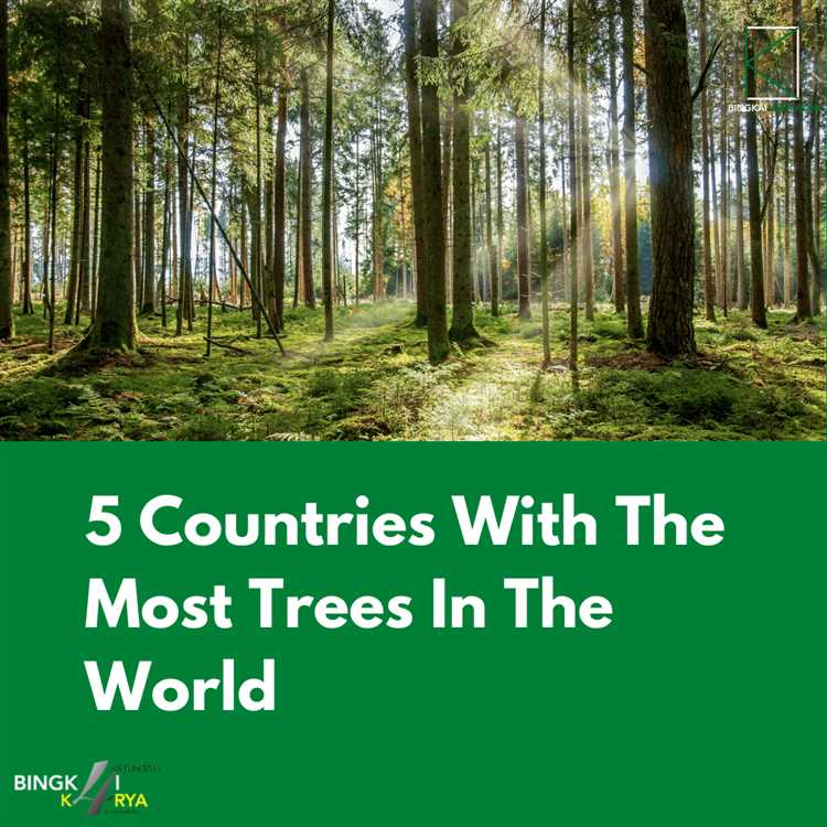 Global Efforts in Reforestation