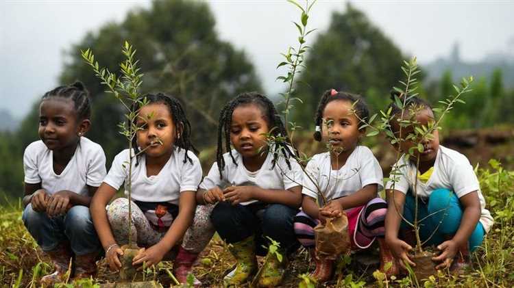 Which country planted most trees in one day?