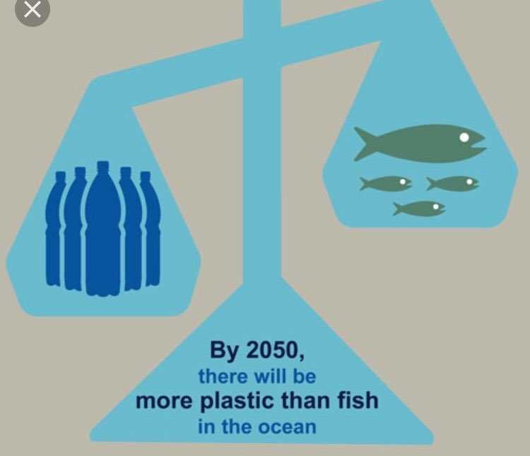 Will there be fish in 2050?