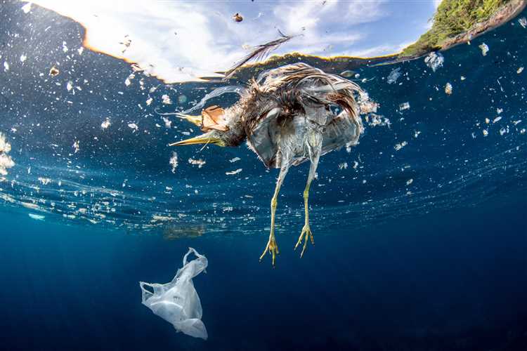 Will we ever run out of plastic?